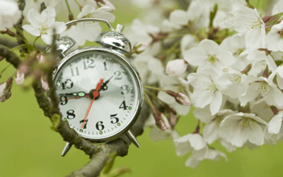 Horario de verano ¿por qué?