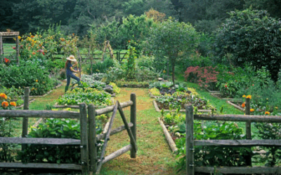 ¿Qué son los jardines comestibles?