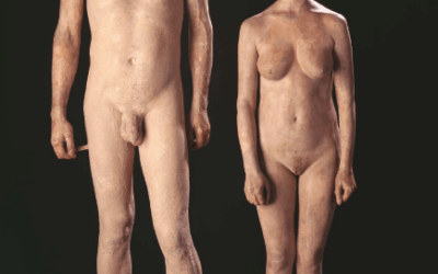 Sexo y género ¿sabrías explicar cuál es la diferencia?