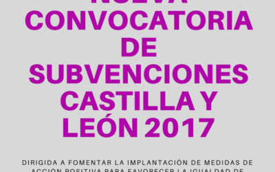 SUBVENCIÓN CASTILLA Y LEÓN 2017