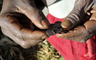 La Mutilación Genital Femenina, una forma más de violencia contra mujeres y niñas