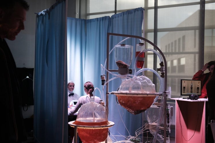 Mujeres con ciencia