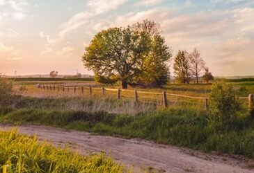 Las mujeres en el mundo rural, las grandes olvidadas