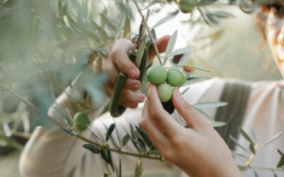 Titularidad compartida, reto en este Día de las Mujeres Rurales