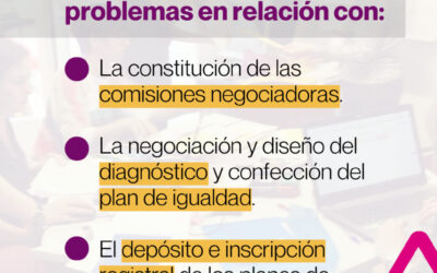 Problemas en la aplicación de la normativa de igualdad
