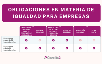 Obligaciones de las empresas en materia de Igualdad [2024]
