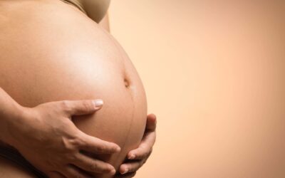 Cómo afecta la reducción de las bonificaciones por maternidad
