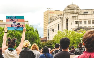 Ley Trans en las Administraciones Públicas: Obligaciones