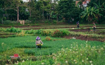 El ecofeminismo: una respuesta a la crisis climática con perspectiva de género